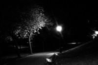 /album/fotogaleria/dsc-0019bn-jpg/