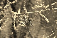 /album/fotogaleria/dsc-0022-jpg/