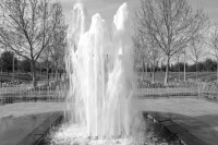 /album/fotogaleria/dsc-0039-jpg/