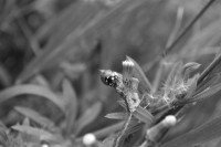 /album/fotogaleria/dsc-0048-jpg/