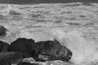 /album/fotogaleria/dsc-0147-jpg/