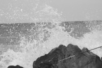 /album/fotogaleria/dsc-0148-jpg/