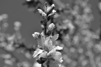 /album/fotogaleria/dsc-0153-jpg/