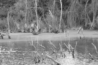 /album/fotogaleria/dsc-0255-jpg/