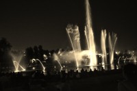 /album/fotogaleria/dsc-0339-jpg/